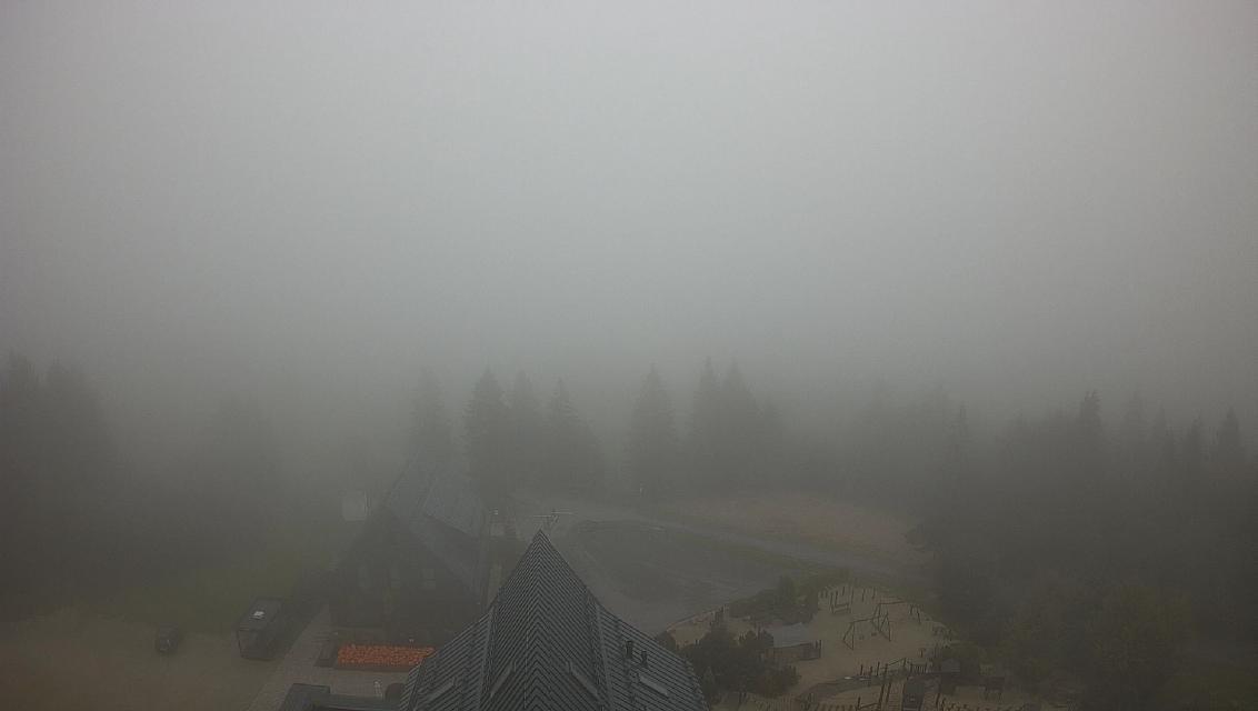 Webcam - Královka